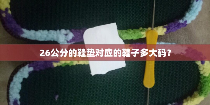 办公室放兰花好不好