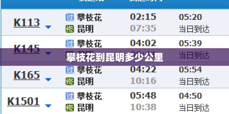 攀枝花到昆明多少公里