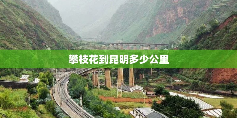 攀枝花到昆明多少公里