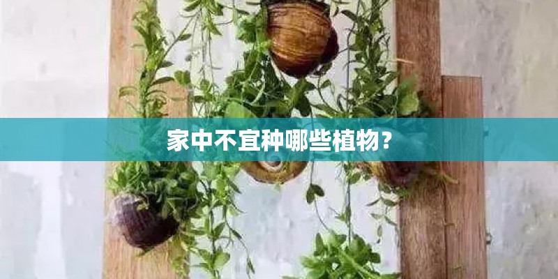 家中不宜种哪些植物？