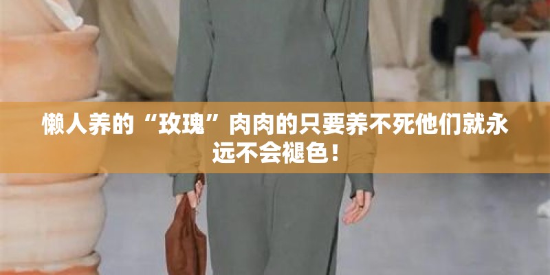 懒人养的“玫瑰”肉肉的只要养不死他们就永远不会褪色！