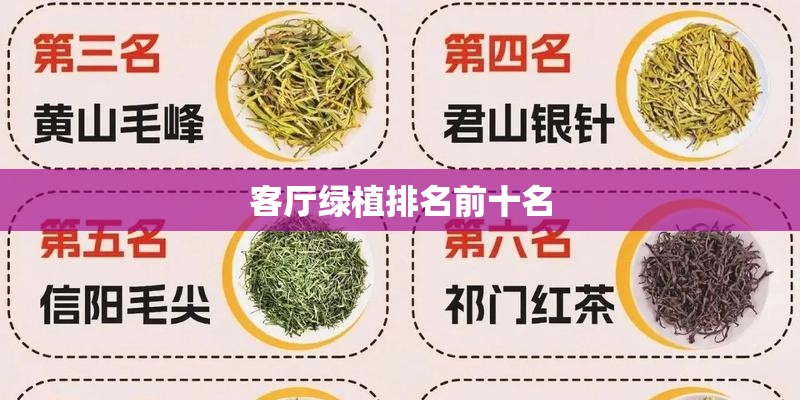 客厅绿植排名前十名