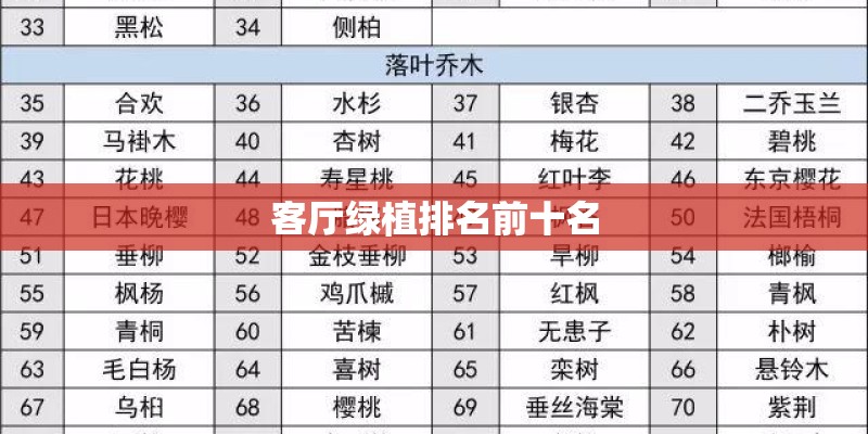 客厅绿植排名前十名