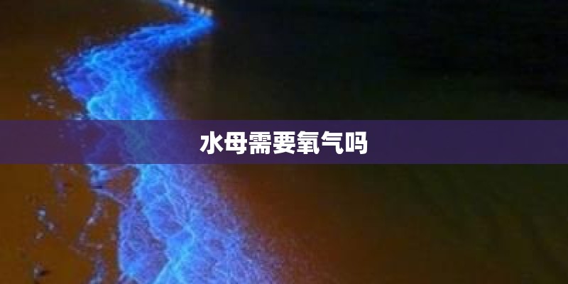 水母需要氧气吗