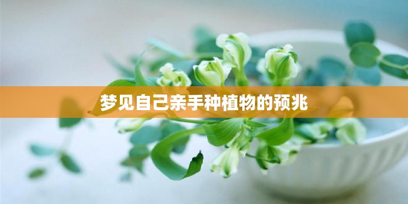 梦见自己亲手种植物的预兆