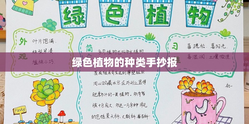 绿色植物的种类手抄报