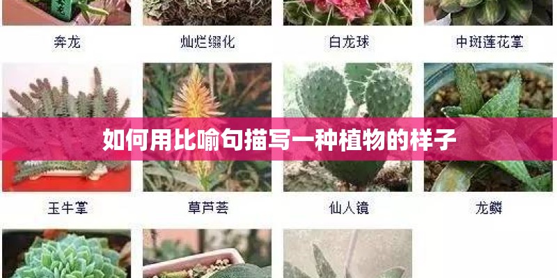 如何用比喻句描写一种植物的样子