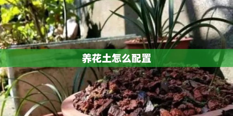 养花土怎么配置