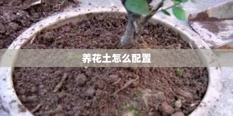 养花土怎么配置