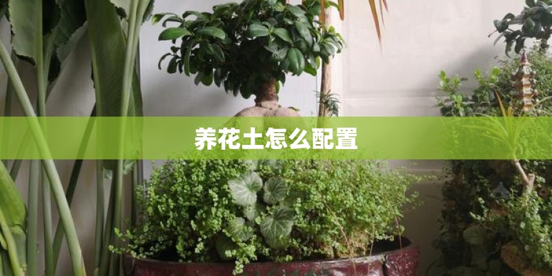 养花土怎么配置