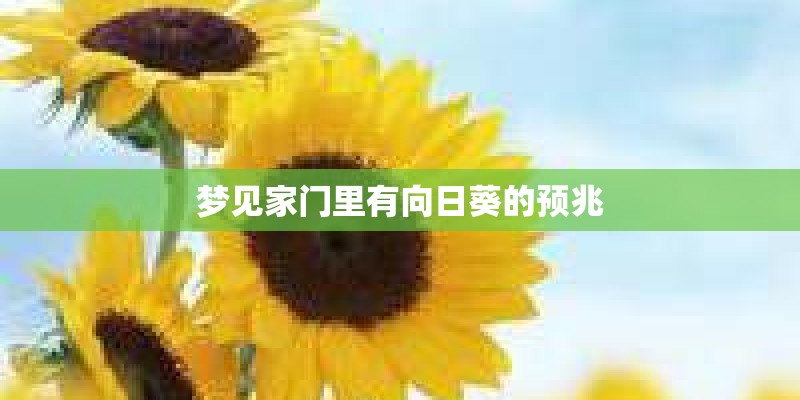 梦见家门里有向日葵的预兆