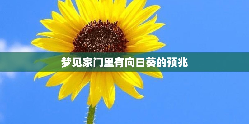 梦见家门里有向日葵的预兆