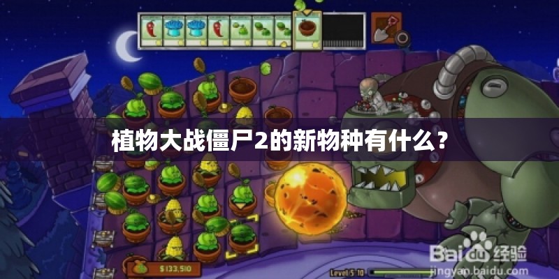 植物大战僵尸2的新物种有什么？