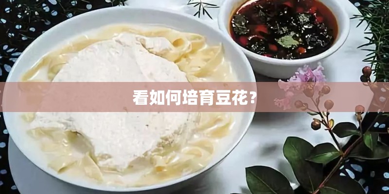 看如何培育豆花？