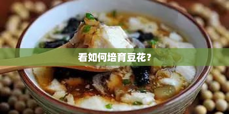 看如何培育豆花？