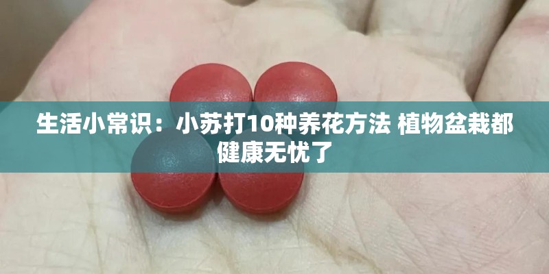 生活小常识：小苏打10种养花方法 植物盆栽都健康无忧了