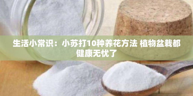 生活小常识：小苏打10种养花方法 植物盆栽都健康无忧了