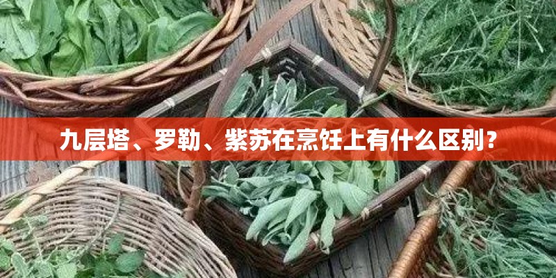九层塔、罗勒、紫苏在烹饪上有什么区别？