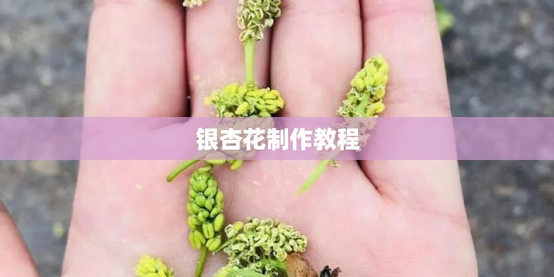 银杏花制作教程