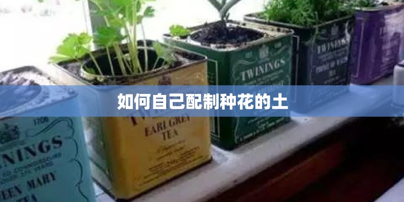 如何自己配制种花的土