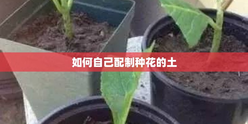 如何自己配制种花的土