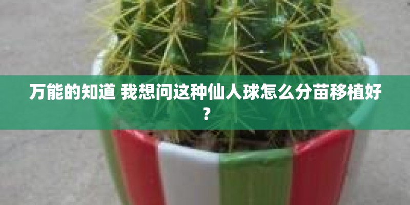 万能的知道 我想问这种仙人球怎么分苗移植好？