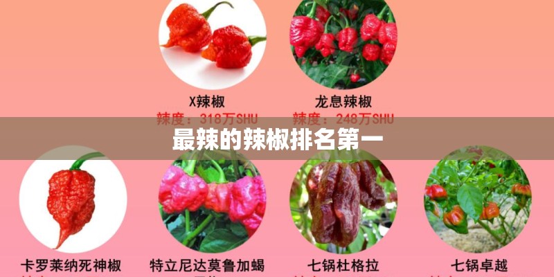 最辣的辣椒排名第一