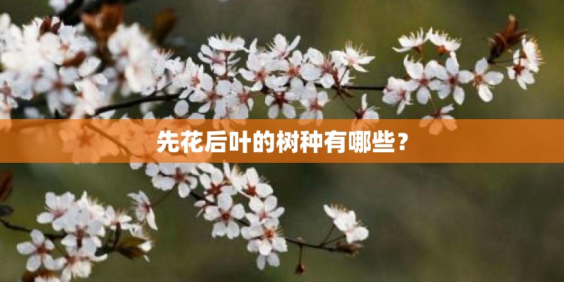 写植物的小诗
