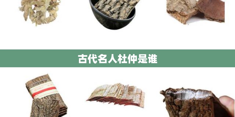 古代名人杜仲是谁