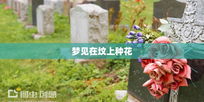 梦见在坟上种花