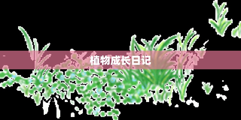 植物成长日记