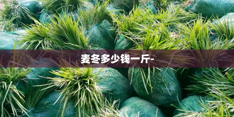 麦冬多少钱一斤-