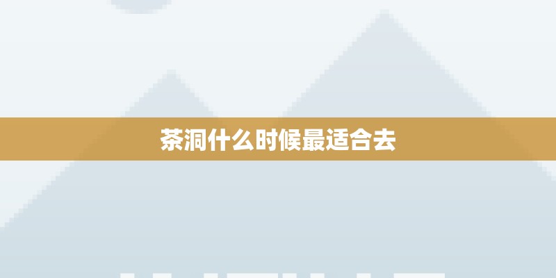 茶洞什么时候最适合去 茶洞什么时候最适合去