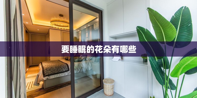 要睡眠的花朵有哪些