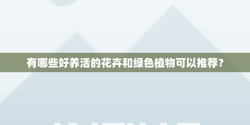 有哪些好养活的花卉和绿色植物可以推荐？
