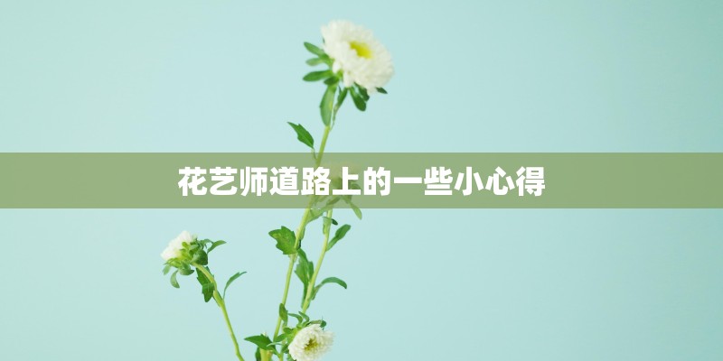 花艺师道路上的一些小心得