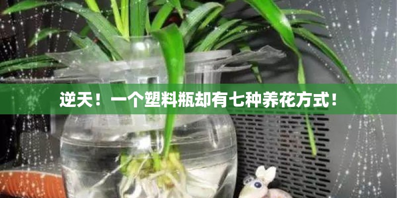 逆天！一个塑料瓶却有七种养花方式！