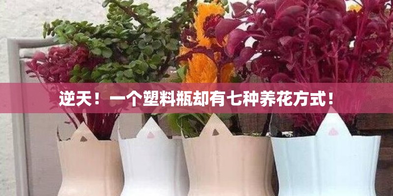 逆天！一个塑料瓶却有七种养花方式！