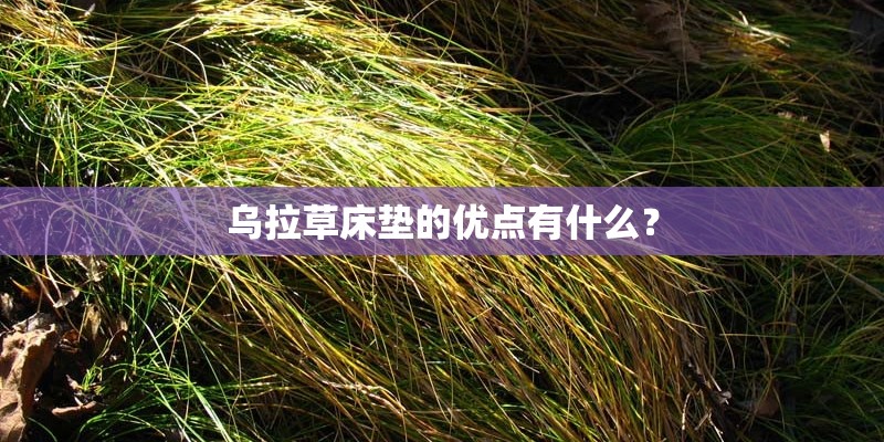 乌拉草床垫的优点有什么? 乌拉草床垫的优点有什么?