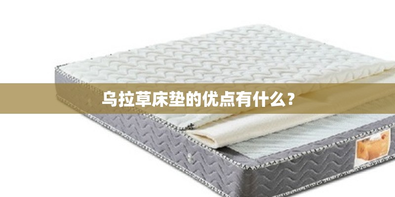 乌拉草床垫的优点有什么? 乌拉草床垫的优点有什么?