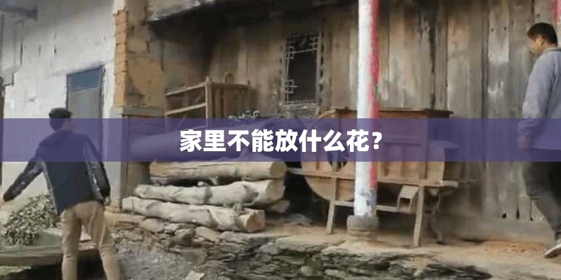 家里不能放什么花？