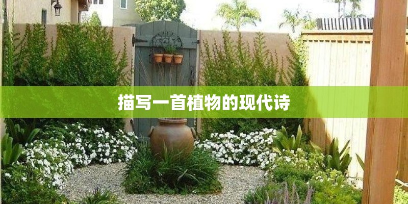 描写一首植物的现代诗