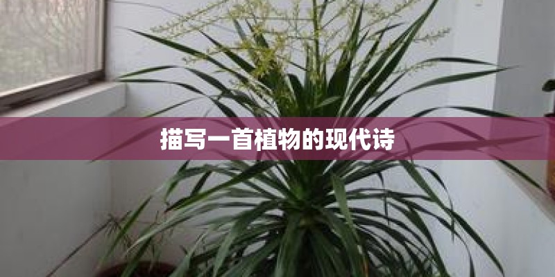描写一首植物的现代诗