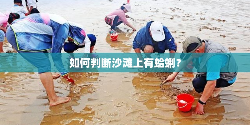 如何判断沙滩上有蛤蜊？
