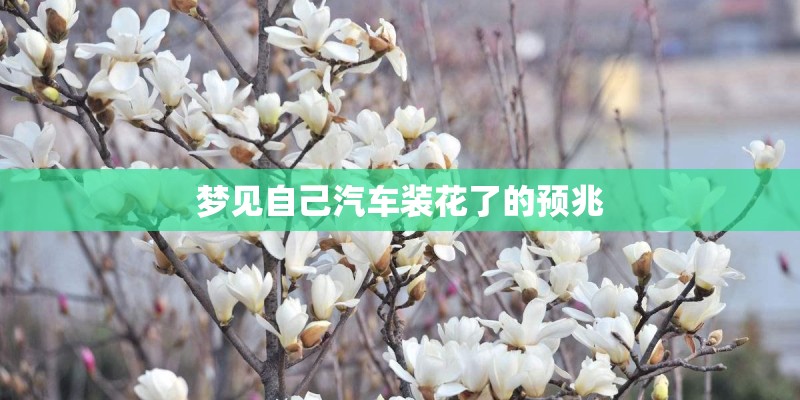 梦见自己汽车装花了的预兆