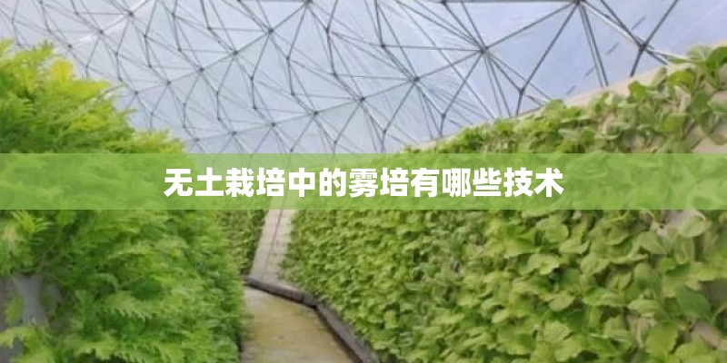无土栽培中的雾培有哪些技术