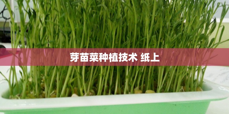 芽苗菜种植技术 纸上