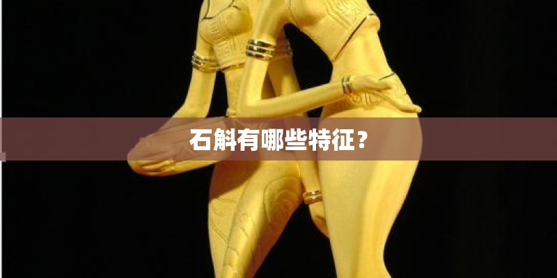 石斛有哪些特征? 石斛有哪些特征?