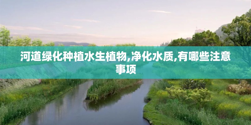 河道绿化种植水生植物,净化水质,有哪些注意事项