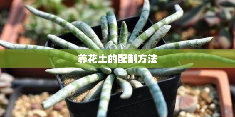 养花土的配制方法